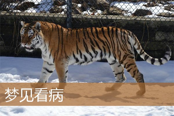 梦见看病是什么意思（梦见看病是什么征兆）