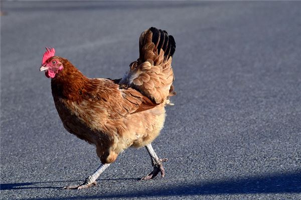 2021年28岁的人属什么,28岁运气好不好 2021年28岁的人属什么,28岁运气好不好