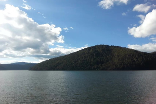 狮子座注定辜负哪个星座（装傻最厉害的星座）