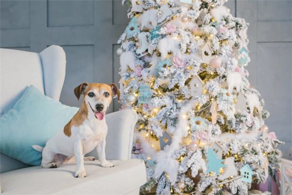 2021年27岁的人属什么，为什么说28岁是道坎