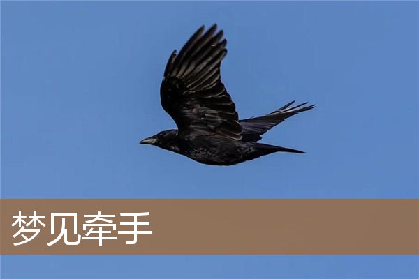 梦见牵手异性（梦见和熟悉的异性牵手）