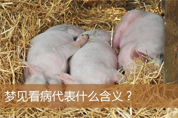 梦见看病代表什么含义呢（梦见陪病人看病代表什么）