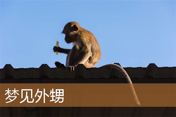 梦见外甥死了是什么意思（梦见自己男外甥）