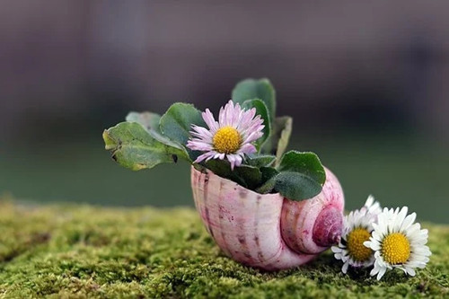 射手座2021年事业贵人（射手座工作搭档是啥星座）