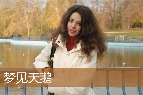 梦见天鹅是什么意思（梦见天鹅是什么预兆）