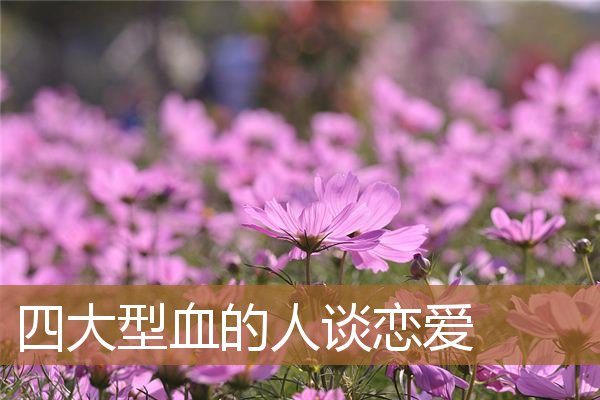 四大血型男爱上什么样的人,四大血型男人喜欢的类型 四大血型男爱上什么样的人,四大血型男人喜欢的类型