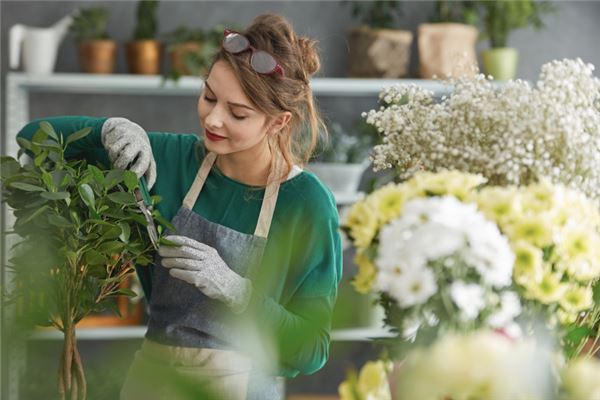 会做生意的女人面相，精明厉害女人的面相