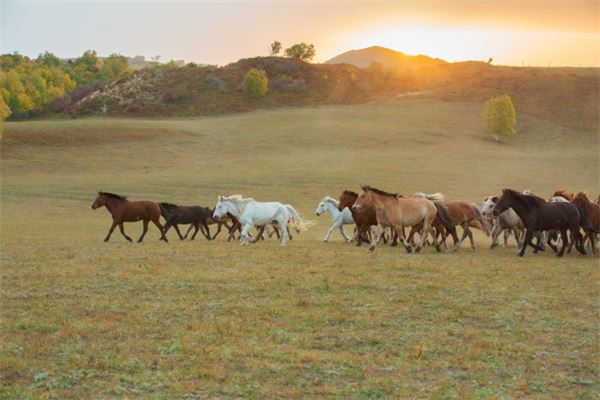 心经戒指要怎样戴才好看,刻有心经戒指能不能带 心经戒指要怎样戴才好看,刻有心经戒指能不能带