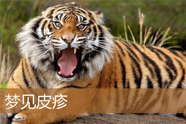 梦见皮疹周公解梦（梦见自己手臂长了红疹）