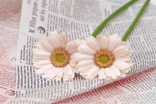 天秤座2021年桃花运（1978属马的贵人是谁）