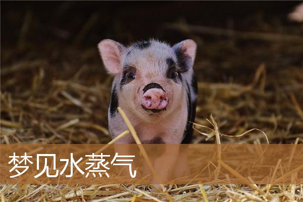 梦见水蒸气是什么意思（梦见蒸汽是什么意思）