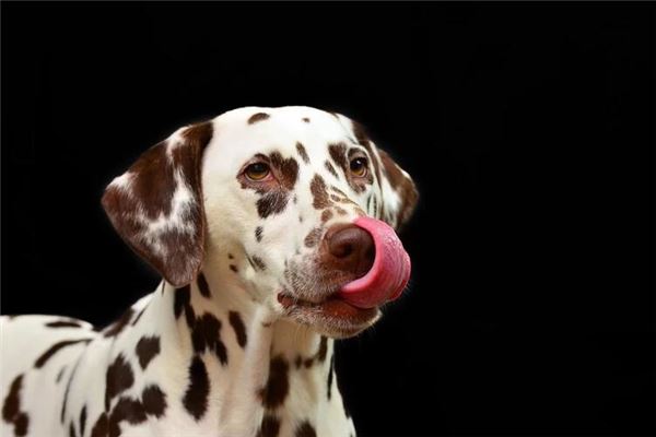 2018什么年属什么年，2018年属什么年号