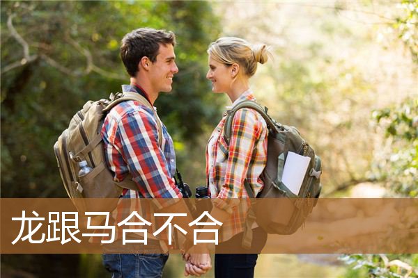 生肖龙跟马合不合（龙和马八字合不合）