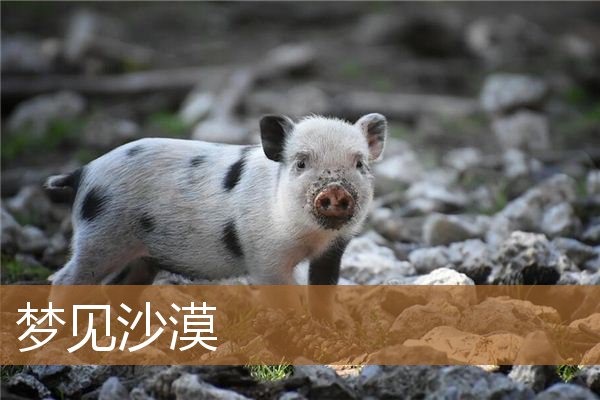 梦见沙漠是什么意思（梦到和亲人一起在沙漠）