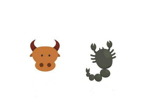 天蝎为什么怕金牛豆瓣（天蝎为什么守护金牛）