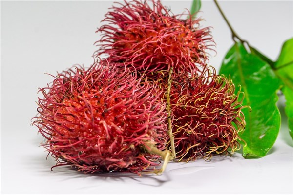 梦见红毛丹是什么意思（梦见红毛线团是什么意思）