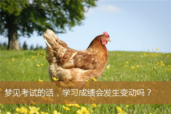 梦见考试的话不会做题（梦见考试预示着什么）