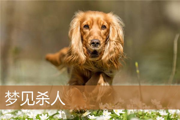 如果你真的在梦中是什么歌，这是我们的梦一个真实的梦