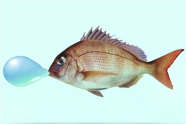 梦见缺氧是什么意思啊（梦见鱼缺氧是什么征兆）