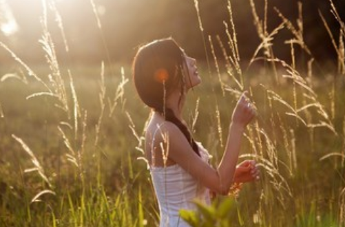 狮子座有哪些天赋（狮子座容易成功的行业）