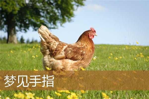 梦见手指被割破流血(手指在梦里代表什么)