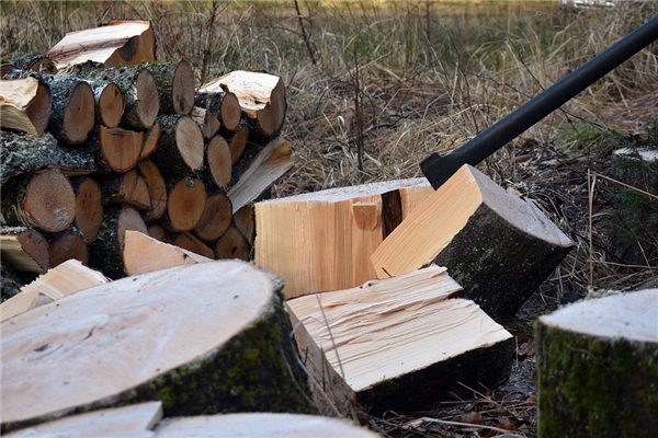 梦见砍材预示什么意思（梦到自己砍柴是什么意思）