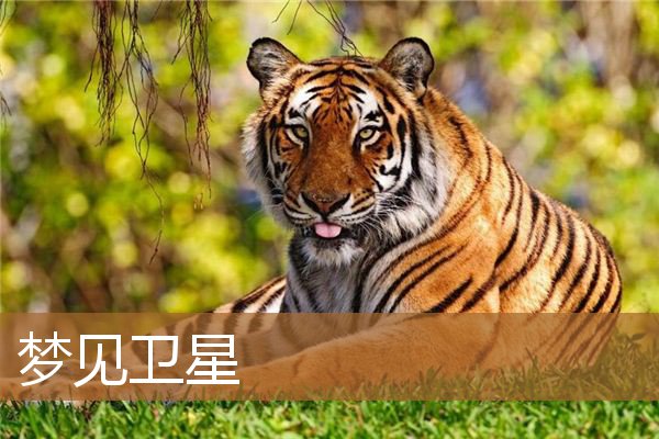 梦见卫星从天上掉下来（梦见人造卫星在天上飞）