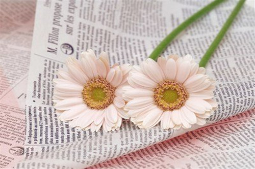 天蝎座2020年必遭遇的劫难（天蝎座一生劫难）