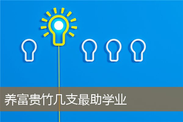 富贵竹养几根旺学业，4支富贵竹旺学业怎么摆