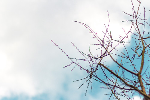 天蝎座女生心里有你的表现（天蝎座害怕失去你的表现）