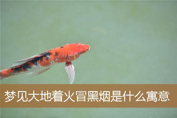 梦见烧火冒黑烟是什么意思（汽车冒黑烟是大问题吗）