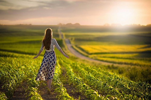 射手座未来五年运势（射手座的五大预言）