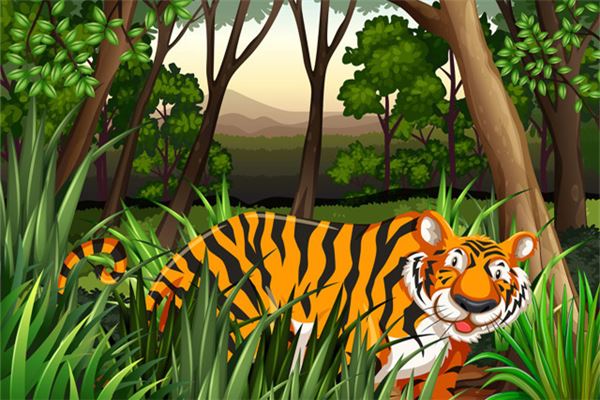 74年属虎的人什么运气好,74年属虎哪年转大运 74年属虎的人什么运气好,74年属虎哪年转大运