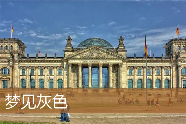 梦见灰色的猫（梦见灰色的裙子）