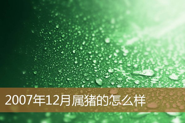 2007年属猪12月出生好吗，2007年属猪女孩几月出生好