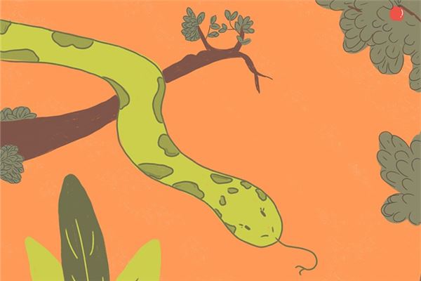 梦见脚踩蛇是什么意思（梦见自己一脚踩到一条蛇）