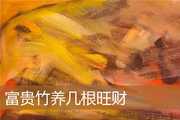 富贵竹养几根旺财最好，富贵竹忌讳养几根