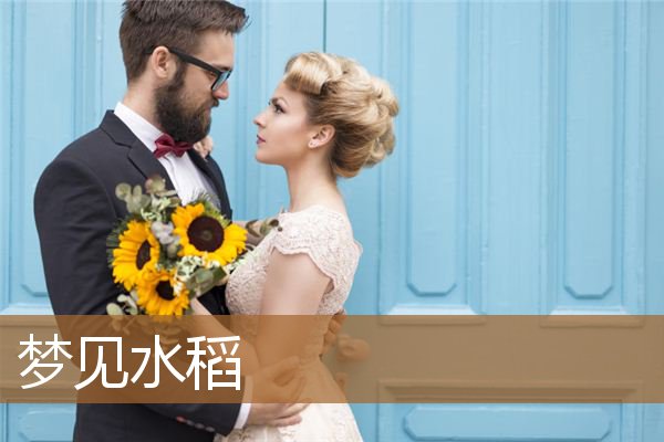 梦见水稻一片金黄（梦见水稻秧苗是什么意思）