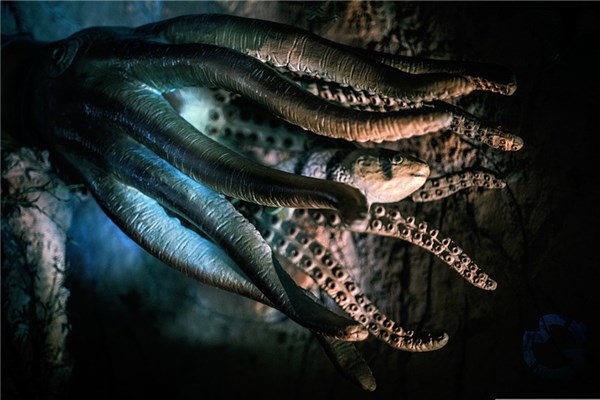 梦见生了个怪物是什么意思（梦见自己生了个怪物孩子）