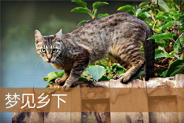 梦见乡下老房子（梦见自己在乡下）