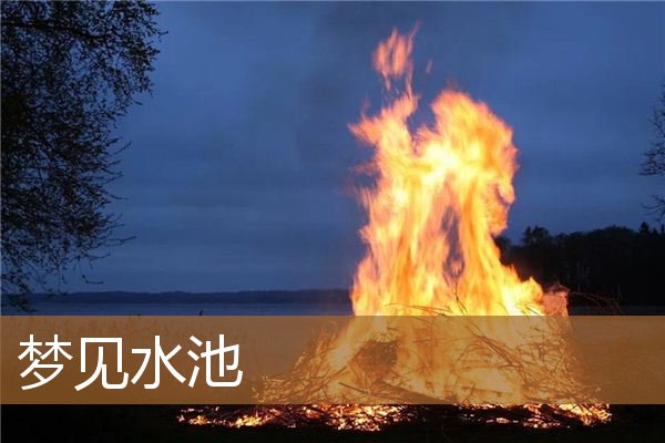 梦见水池里好多鱼（女人梦见水池是什么意思）