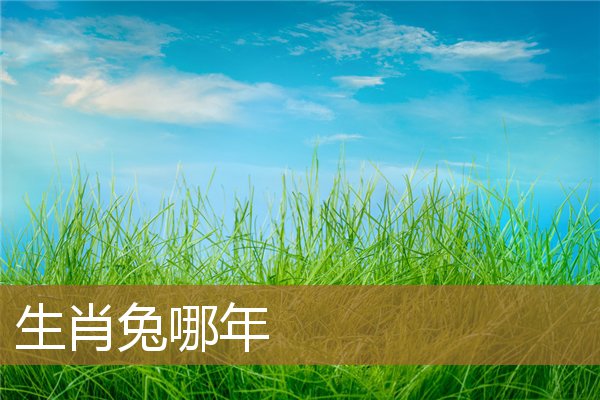 生肖兔哪年出生的（1987年属兔的最佳配偶）