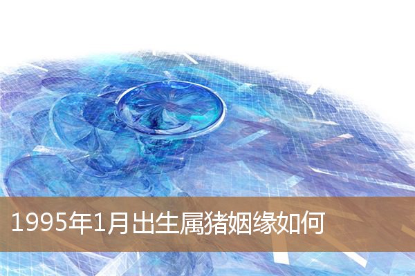 1995年属猪男的姻缘,1995年腊月属猪的命运 1995年属猪男的姻缘,1995年腊月属猪的命运