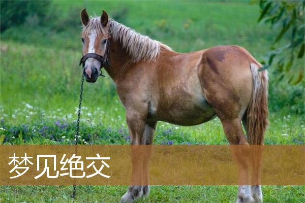 梦见绝交的朋友（梦到绝交的人）