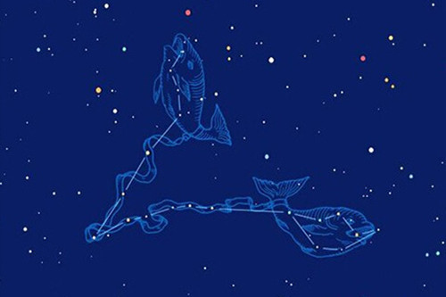 双鱼男爱一个人的表现特征（双鱼男真爱和假爱）