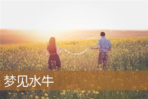 梦见水牛是什么预兆（男人梦见水牛是什么意思）