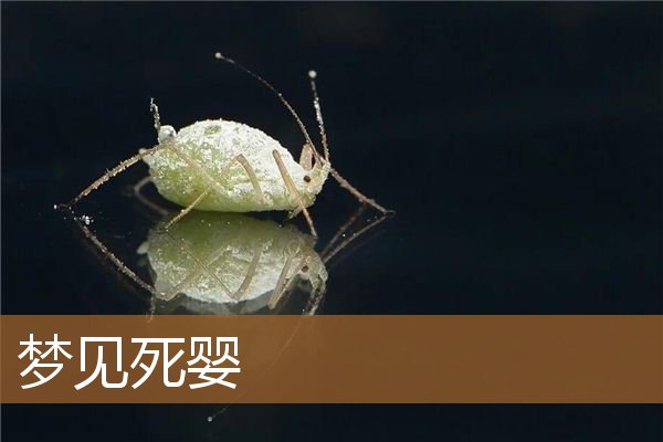 梦见死婴儿有什么预兆（梦见被扔掉的死婴）