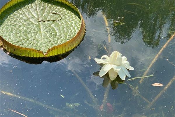 玄学入门书籍（玄学自学入门零基础）