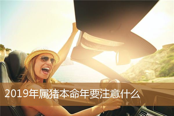 2019年属猪本命年运程，猪年本命年是哪一年