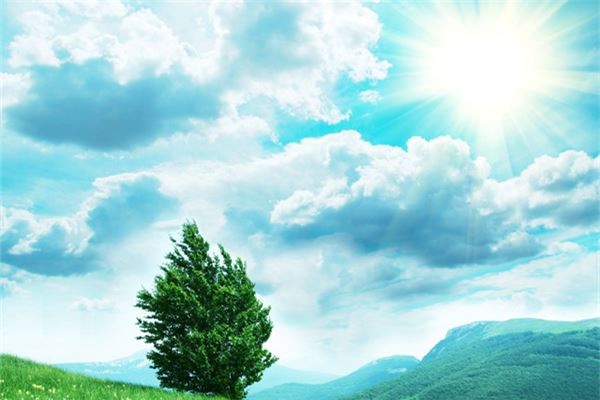 屋前种什么树最旺,大门前栽什么树最好 屋前种什么树最旺,大门前栽什么树最好